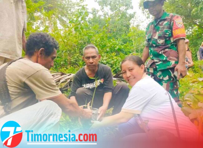 Ket. Foto : Ketua Panitia Kegiatan HPN 2025 Cyriakus Kiik Dan Kepala Desa Naimana Maria Rosariana Seran Melakukan Penanaman Pohon Bambu Di Dusun Kobadiin, Desa Naimana, Kecamatan Malaka Tengah, Jumat 7 Februari 2025