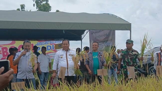 Ket Foto : Wabup Malaka HMS hadiri panen padi Intani 602/Sridewi bersama petani di LakekunBarat/dok Istimewa/Wabub Malaka/Timornesia 