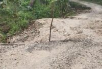Kerusakan parah jalan di Dusun Halioan A Desa Barene Malaka Tengah/dok JB/Timornesia 