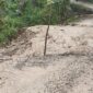 Kerusakan parah jalan di Dusun Halioan A Desa Barene Malaka Tengah/dok JB/Timornesia 