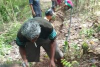 Ket foto : Upaya peningkatan air bersih di Desa Kuaken oleh masyarakat Desa Kuaken/dok ES/Timornesia 
