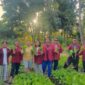 Mahasiswa KKN Sekolah Tinggi Ilmu Hukum stih Cendana Wangi panen sayur bersama Kepala Desa/dok pribadi/ES/Timornesia 