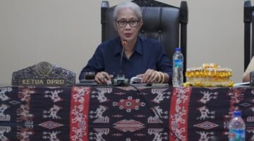 Ketua DPRD Provinsi Nusa Tenggara Timur Emilia Nomleni/dok Istimewa/Timornesia 