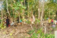 Kades Motaain bersama warga tanam anakan bambu, pisang dan rumput gajah di sekitar lokasi tanggul/dok pribadi/Ak/Timornesia 