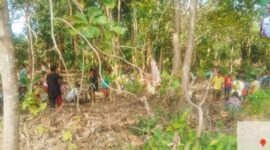 Kades Motaain bersama warga tanam anakan bambu, pisang dan rumput gajah di sekitar lokasi tanggul/dok pribadi/Ak/Timornesia 