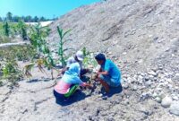 Masyarakat Oan Mane Tanam anakan bambu di sepanjang tanggul di DAS Benenai/dok pribadi/Nn/Timornesia 