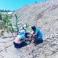 Masyarakat Oan Mane Tanam anakan bambu di sepanjang tanggul di DAS Benenai/dok pribadi/Nn/Timornesia 