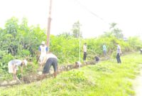 Pj Kepala Desa Motaulun Rofinus Seran pimpin para perangkat desa bersihkan saluran di sepanjang jalan utama Besikama-Betun, Sabtu 28/2/2026/dok pribadi/Timornesia