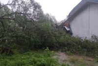 Pohon asam tumbang mengakibatkan kerusakan pada fasilitas SMPK Sulama Kada, Sabtu 25/4/2026/dok ml/Timornesia