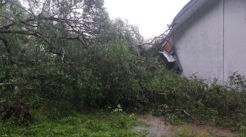 Pohon asam tumbang mengakibatkan kerusakan pada fasilitas SMPK Sulama Kada, Sabtu 25/4/2026/dok ml/Timornesia