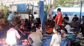 Suasana penyembelian hewan kurban di Masjid Al-Jihad Betun, Rabu 27/5/2026/dok pribadi/Redaksi/Timornesia