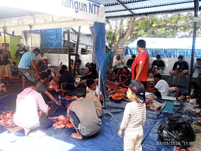 Suasana penyembelian hewan kurban di Masjid Al-Jihad Betun, Rabu 27/5/2026/dok pribadi/Redaksi/Timornesia