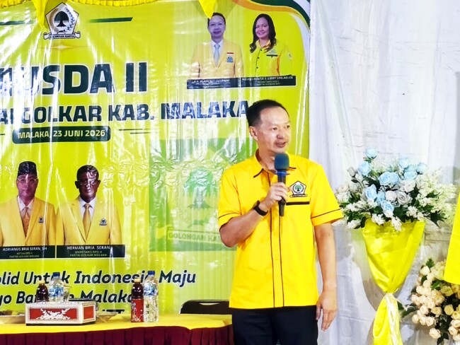 Ketua DPD I Partai Golkar Provinsi NTT F.X. Alain Susanto/dok istimewa/gonza/Timornesia 