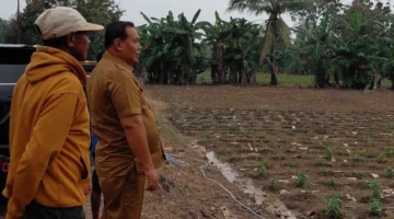 Pemkap Malaka Siapkan Kelompok Bagi Sarjana Pertanian, Perikanan dan Peternakan di Tiap Kecamatan