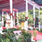 Monika Seuk siswi SMA R.A. Kartini Umatoos yang dipercayakan membawa baki saat penurunan Sang Merah Putih/dok istimewa/Yerry Diskominfo/Timornesia 
