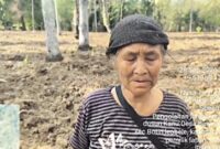 Helena Lotu warga Desa Babotin Selatan, Kecamatan Botin Leobele saat berada di lahan miliknya yang sedang dipacul gratis menggunakan traktor Pemkab Malaka/ist/Timornesia
